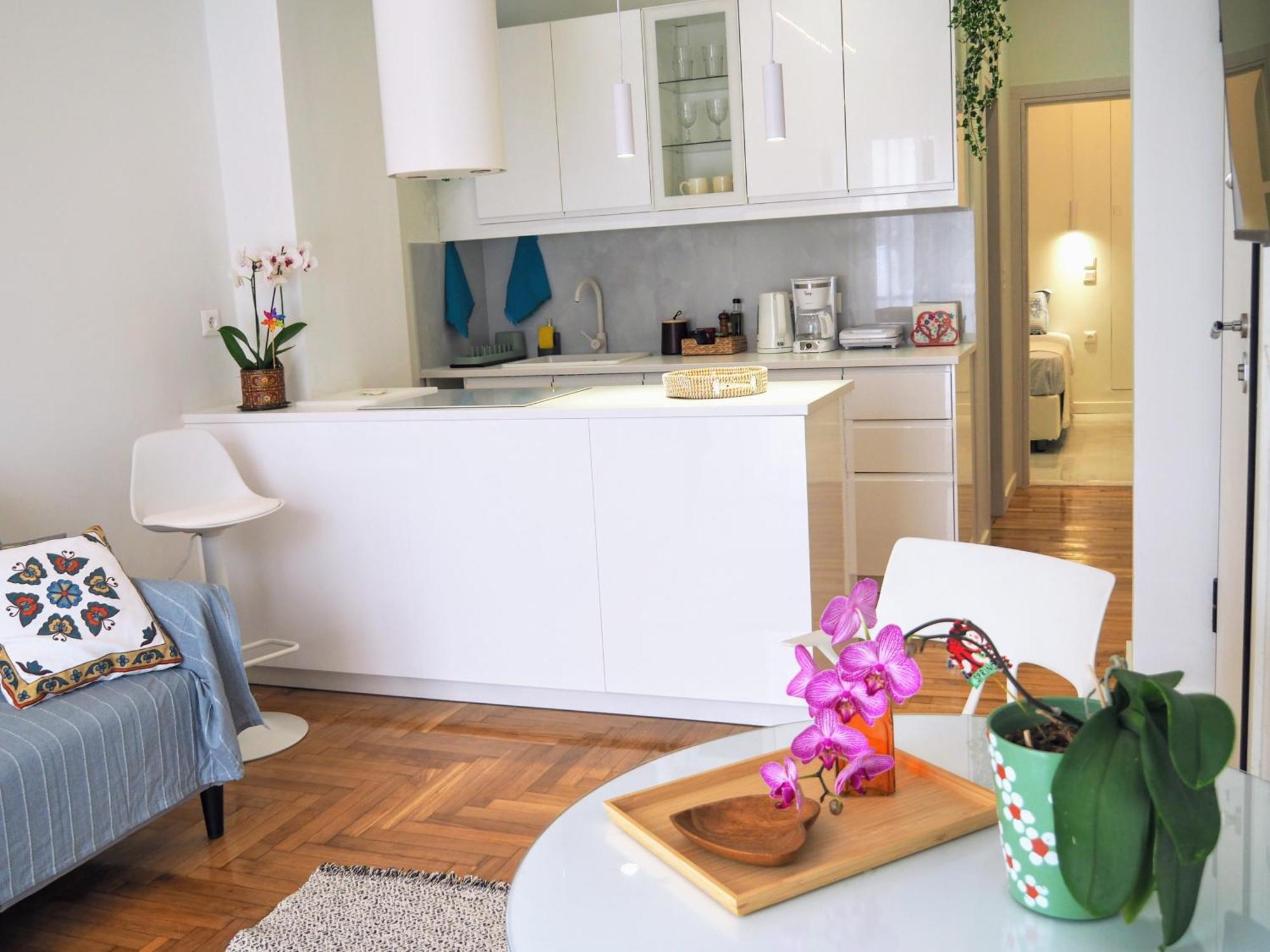 White House Apartment Athen